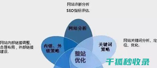 和用户体验的全方位提升