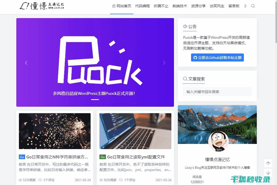 WordPress管理员密码重置：12个步骤让你的网站安全无忧 (wordpress什么意思)