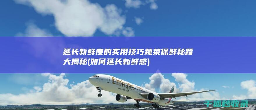 延长新鲜度的实用技巧 蔬菜保鲜秘籍大揭秘 (如何延长新鲜感)