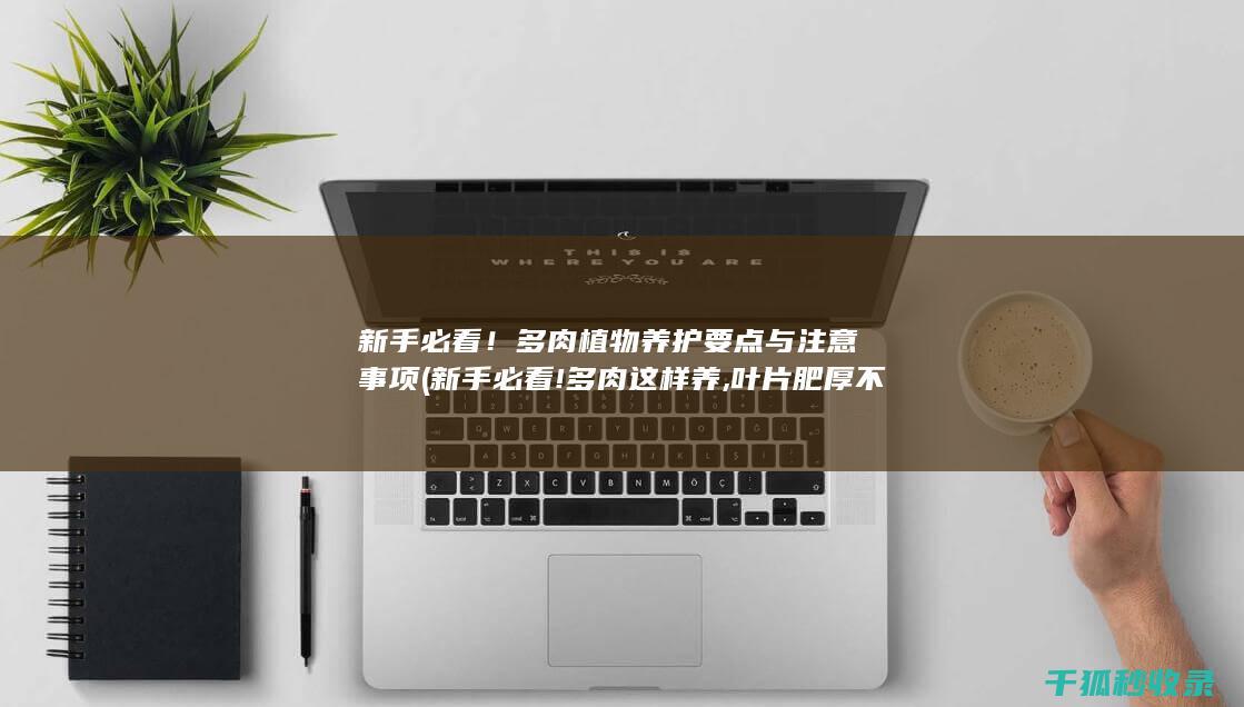 新手必看！多肉植物养护要点与注意事项 (新手必看!多肉这样养,叶片肥厚不烂根,一年四季都爆盆!)