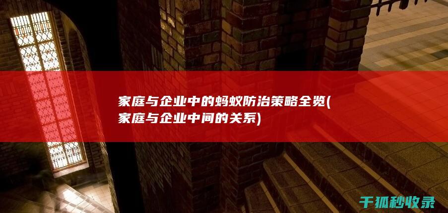家庭与企业中的蚂蚁防治策略全览 (家庭与企业中间的关系)