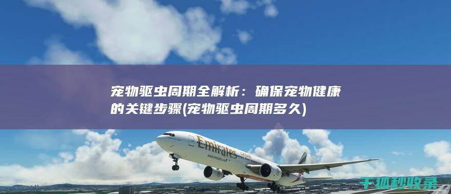 确保宠物健康的关键步骤