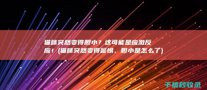 猫咪突然变得胆小？这可能是应激反应！ (猫咪突然变得警惕、胆小是怎么了)