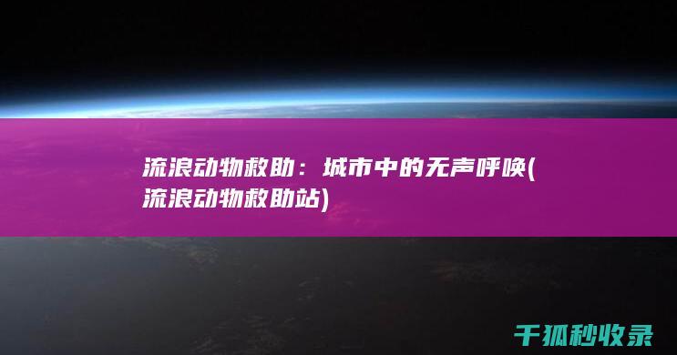 流浪动物救助：城市中的无声呼唤 (流浪动物救助站)