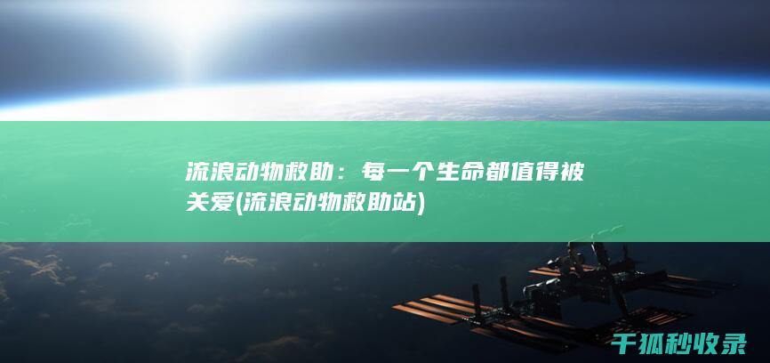 流浪动物救助：每一个生命都值得被关爱 (流浪动物救助站)