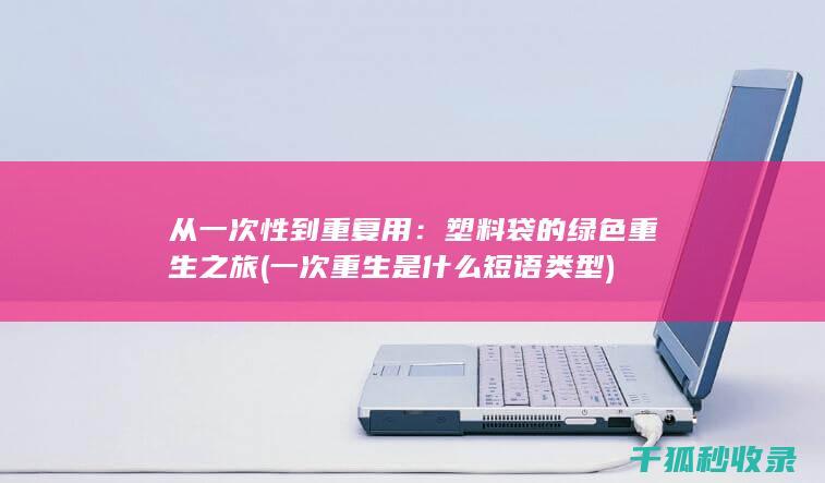一次重生是什么短语类型