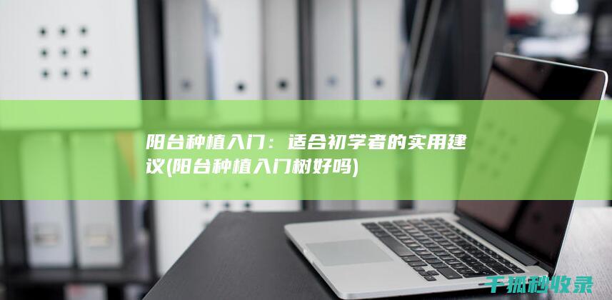 阳台种植入门：适合初学者的实用建议 (阳台种植入门树好吗)