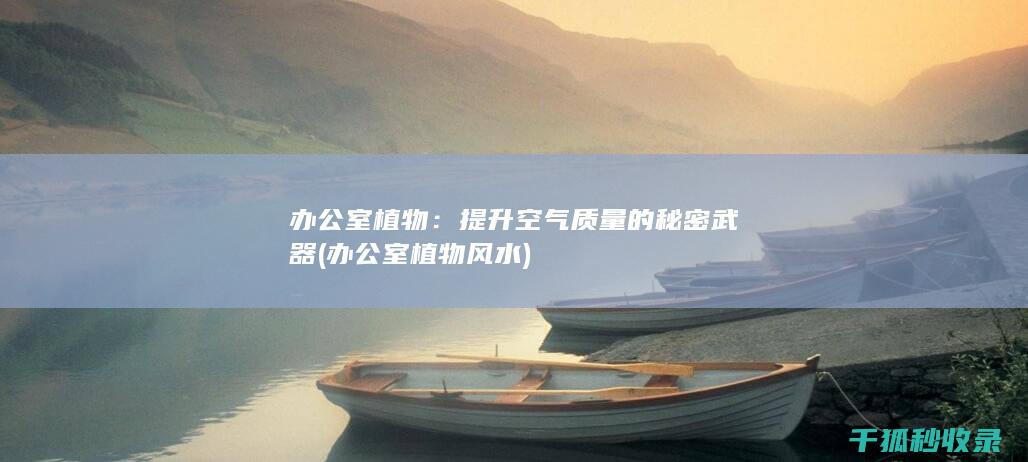 提升空气质量的秘密武器