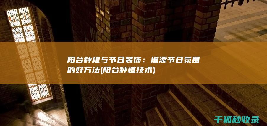 阳台种植技术