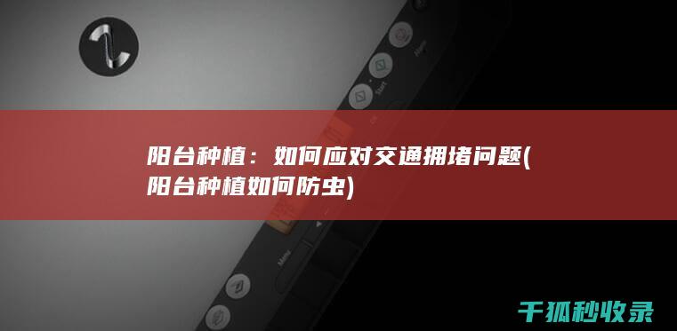 阳台种植：如何应对交通拥堵问题 (阳台种植如何防虫)