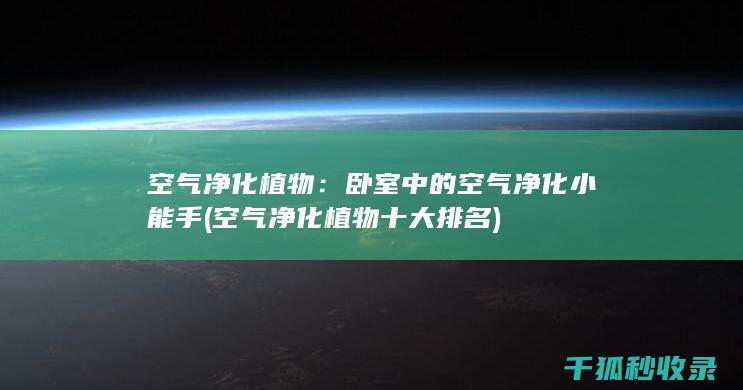 空气净化植物