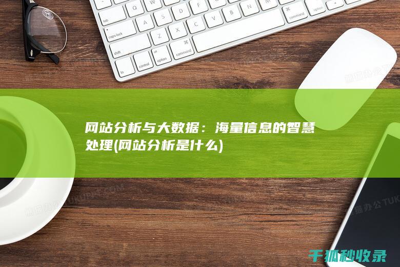 网站分析与大数据：海量信息的智慧处理 (网站分析是什么)
