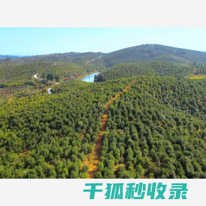 湖南大三湘茶油股份有限公司