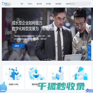 北京中科国软科技有限公司