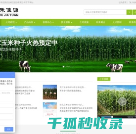 青贮玉米牛必乐