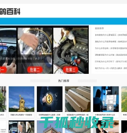 信鸽百科