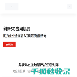 鸿联九五