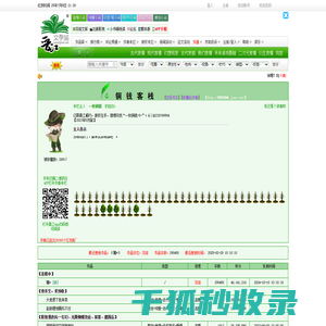 一枚铜钱
