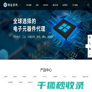 湖南景视