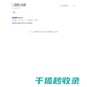 二进制小说家